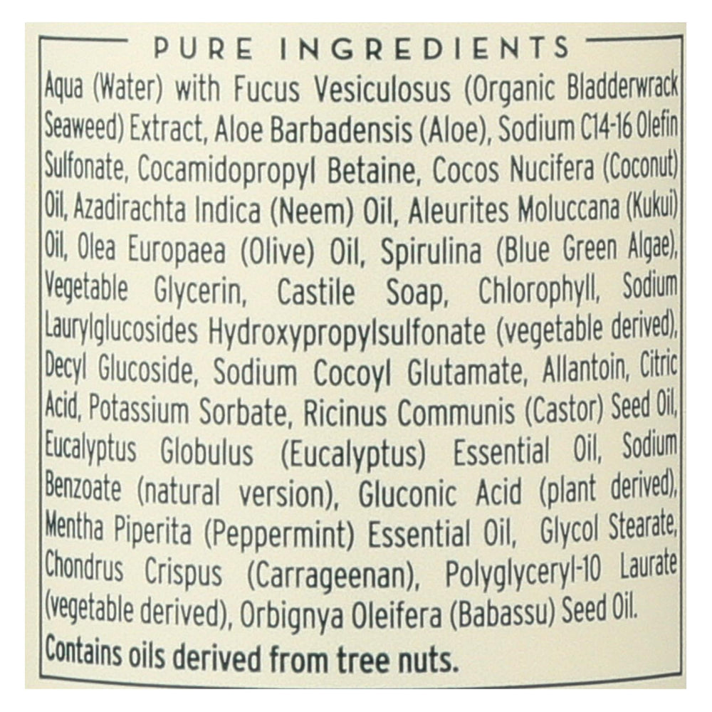 The Seaweed Bath Co Body Wash - Eucalyptus & Peppermint - 12 Fl Oz